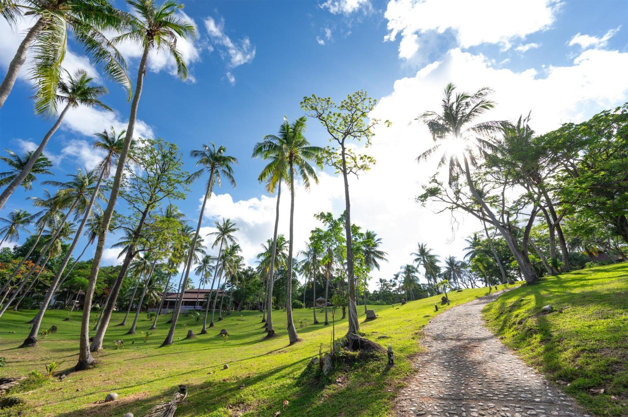 Ban Raya Resort And Spa 拉查亚伊岛 外观 照片